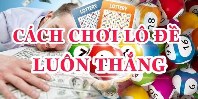 Bí quyết nuôi lô đề online hiệu quả nhất cho người mới